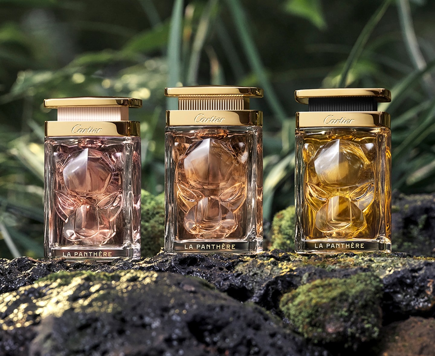 a perfume, a panther